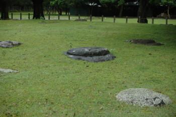 20100516145311