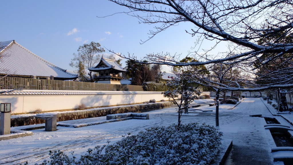 f:id:nakamu1973:20180218085627j:plain