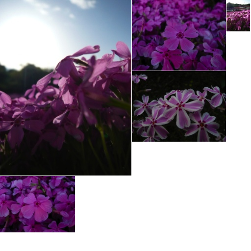 f:id:nakamura001:20091004205104p:image:w500 f:id:nakamura001:20091004205104p:image:w500