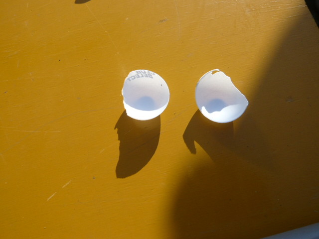 f:id:nakamura001:20091123133046j:image:w320