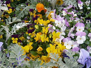 f:id:nakamura001:20110207003918p:image