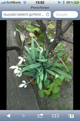 f:id:nakamura001:20110529141151p:image f:id:nakamura001:20110529141151p:image