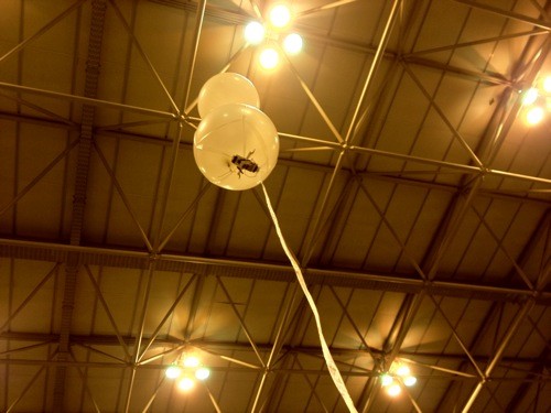 f:id:nakamura001:20111207030751j:image