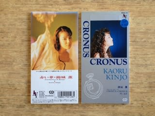 錦城薫 赤い華 避暑地の猫 赤い華」 錦城薫 1988年 - 失われたメディア-8cmCDシングルの世界-