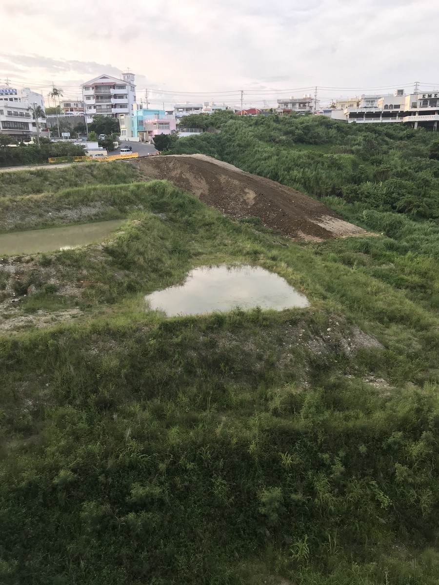 f:id:nakamura_yoso:20210921125530j:plain