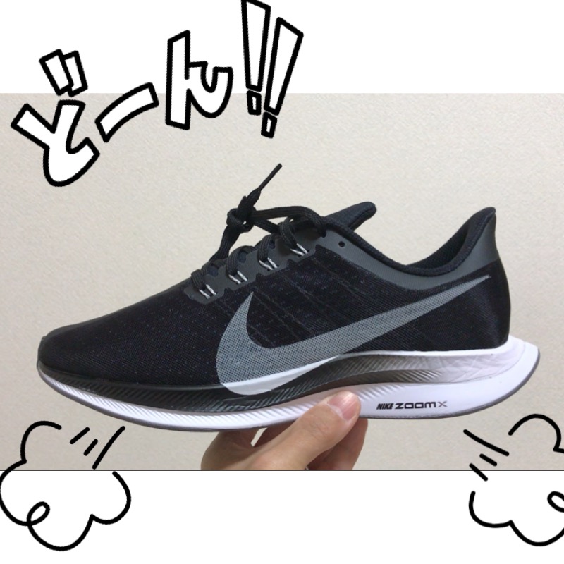 f:id:nakamurablog-kenbo:20190118142518j:plain f:id:nakamurablog-kenbo:20190118142518j:plain