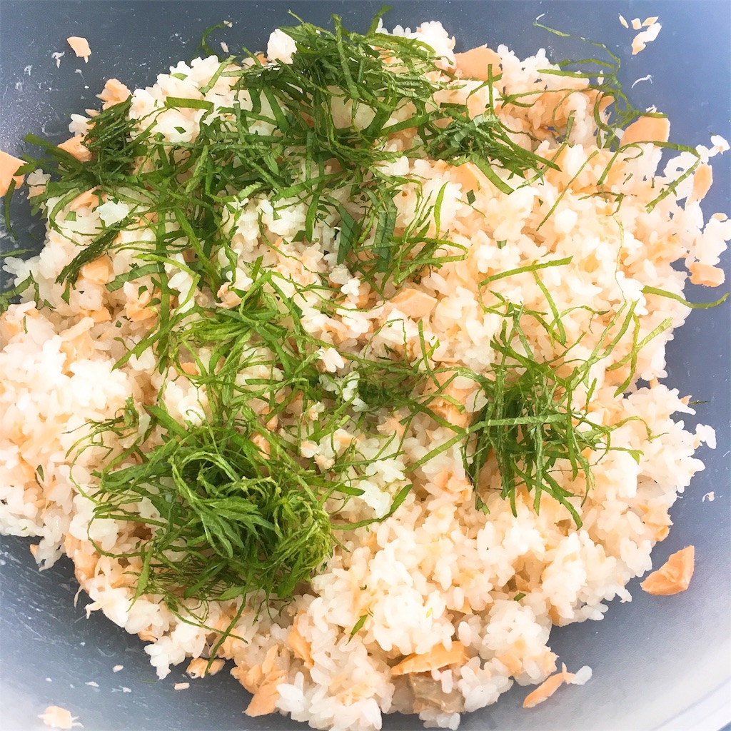 f:id:nakamuradb:20190514130921j:image