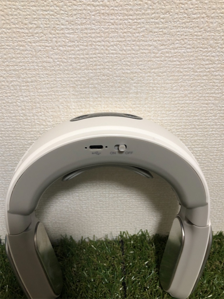 f:id:nakamurafu-fu:20220621200904j:image f:id:nakamurafu-fu:20220621200904j:image