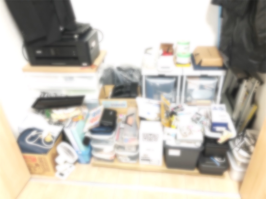 f:id:nakamurafu-fu:20250419214725j:image