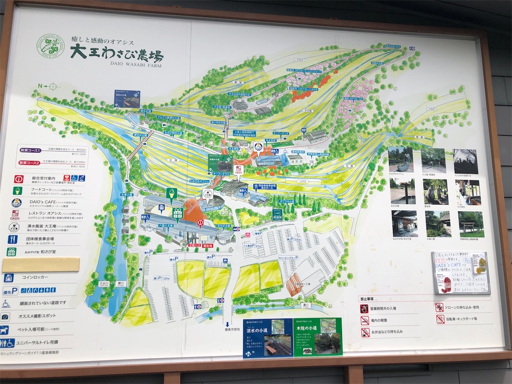 f:id:nakamurafu-fu:20260813214025j:image