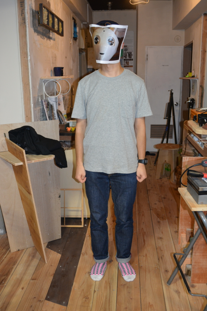 f:id:nakamuralab:20160710145528j:plain