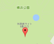f:id:nakamuralab:20160728180821p:plain