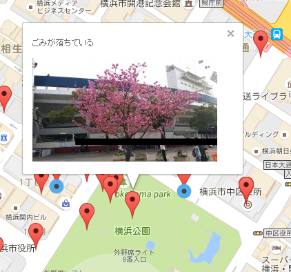f:id:nakamuralab:20160728180842p:plain