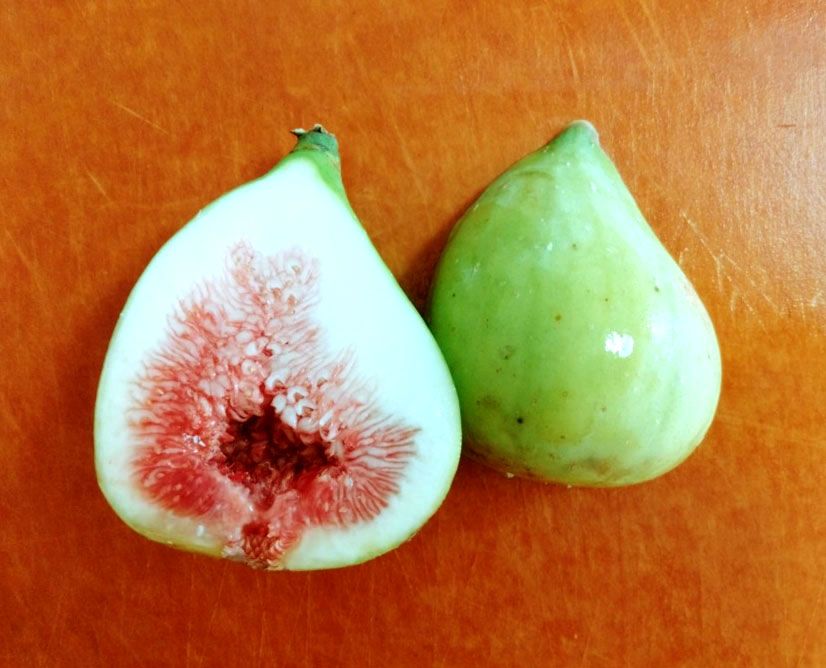 保存版】イチジク12品種、味の特徴を徹底比較!美味しさランキングNO1