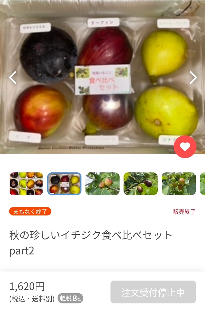 保存版】イチジク12品種、味の特徴を徹底比較!美味しさ 保存版】イチジク12品種、味の特徴を徹底比較!美味しさ