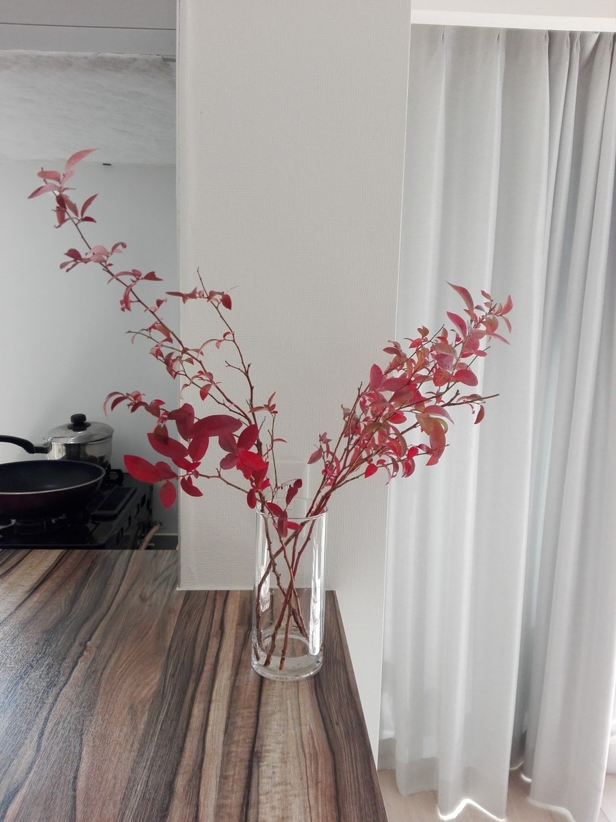 ブルーベリーの剪定方法を図解 切るべき枝は3つだけ 紅葉した枝をお部屋に飾ろう 超初心者 ゆる果樹 ブルーベリーの剪定方法を図解 切るべき枝は3つだけ 紅葉した枝をお部屋に飾ろう 超初心者 ゆる果樹