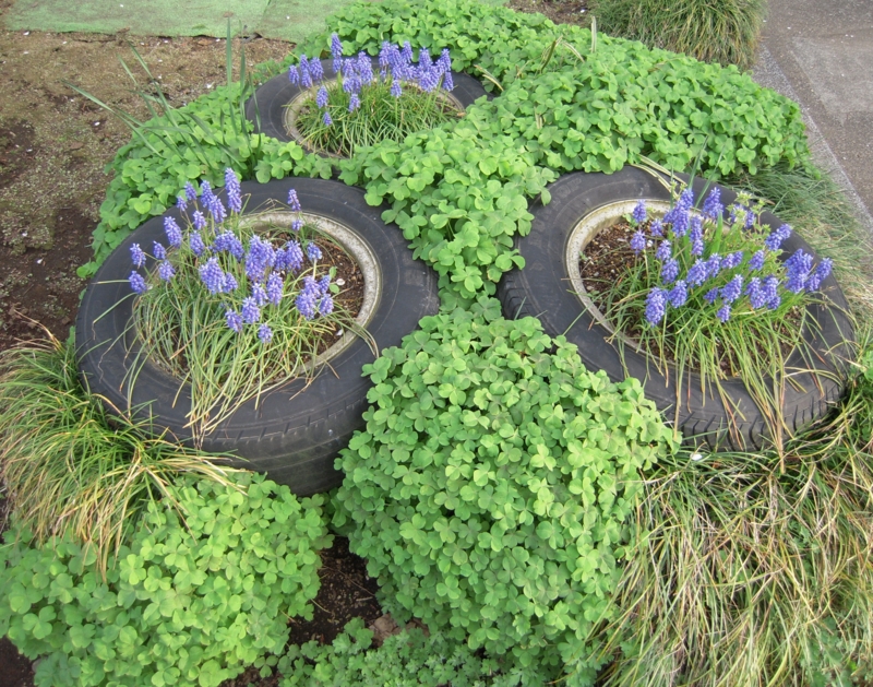 f:id:nakamuranon:20100410165628j:image