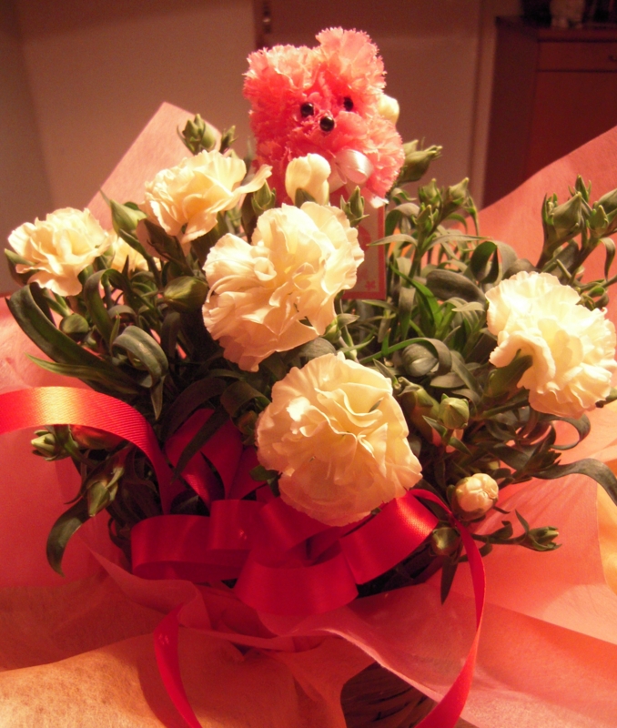 f:id:nakamuranon:20100510091907j:image f:id:nakamuranon:20100510091907j:image