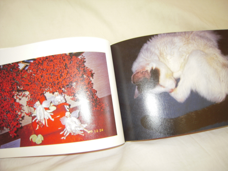 f:id:nakamuranon:20110327131636j:image