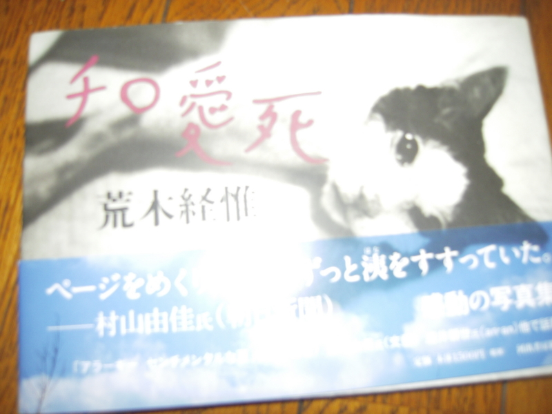 f:id:nakamuranon:20110327131643j:image