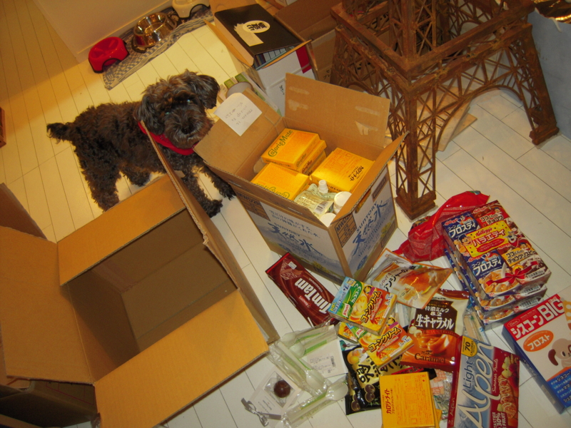 f:id:nakamuranon:20110406023018j:image f:id:nakamuranon:20110406023018j:image