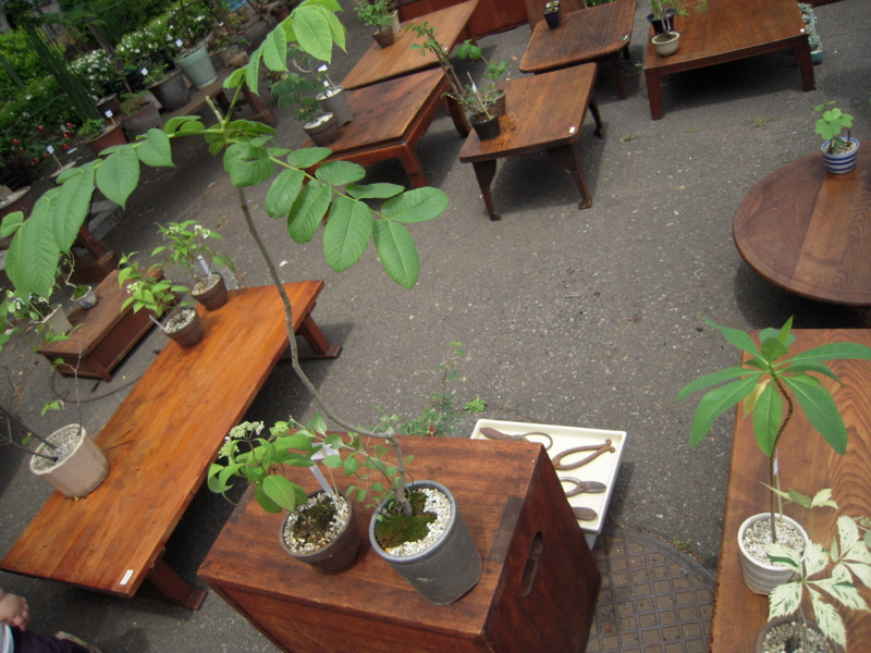 f:id:nakamuranon:20120526172907j:image