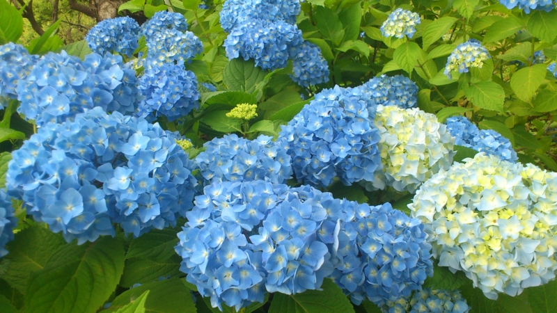 f:id:nakamuranon:20120610103949j:image f:id:nakamuranon:20120610103949j:image