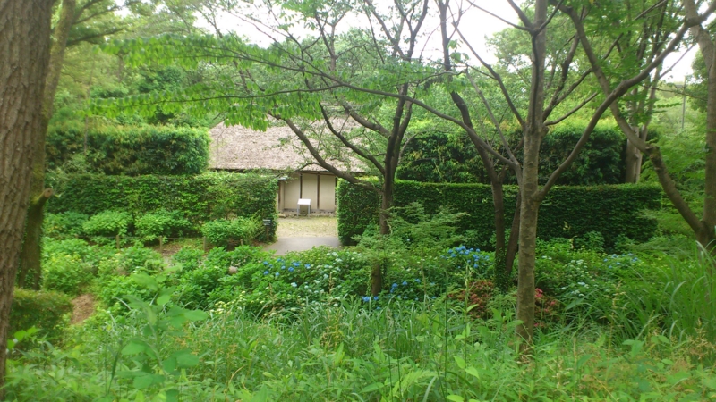 f:id:nakamuranon:20120610104611j:image f:id:nakamuranon:20120610104611j:image