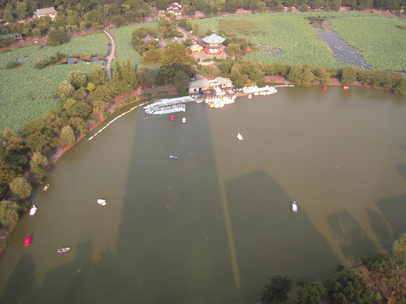 f:id:nakamuranon:20120729120508j:image