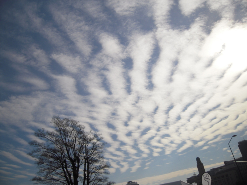 f:id:nakamuranon:20130115150452j:image