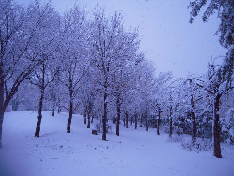 f:id:nakamuranon:20130115153414j:image