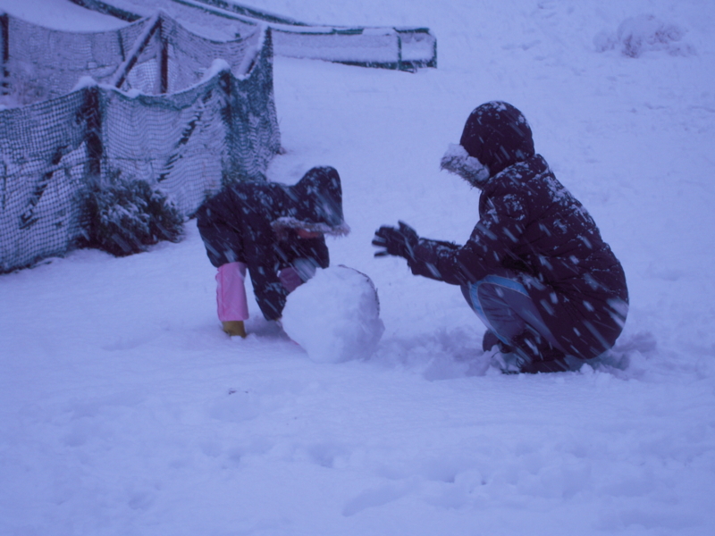 f:id:nakamuranon:20130115153615j:image