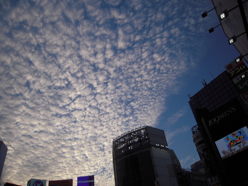 f:id:nakamuranon:20130721105103j:image f:id:nakamuranon:20130721105103j:image