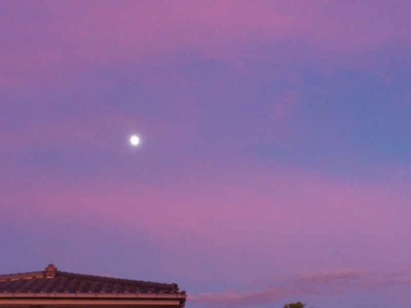 f:id:nakamuranon:20130918140306j:image f:id:nakamuranon:20130918140306j:image