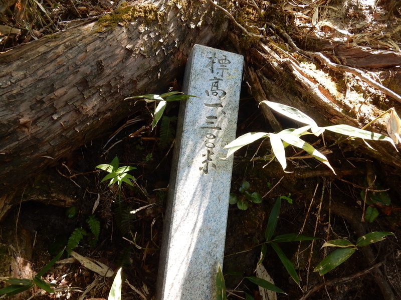 f:id:nakamuraosamu:20190527201053j:plain