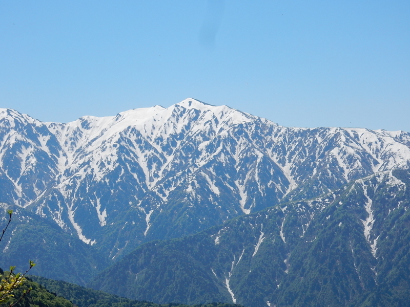 f:id:nakamuraosamu:20190527201105j:plain