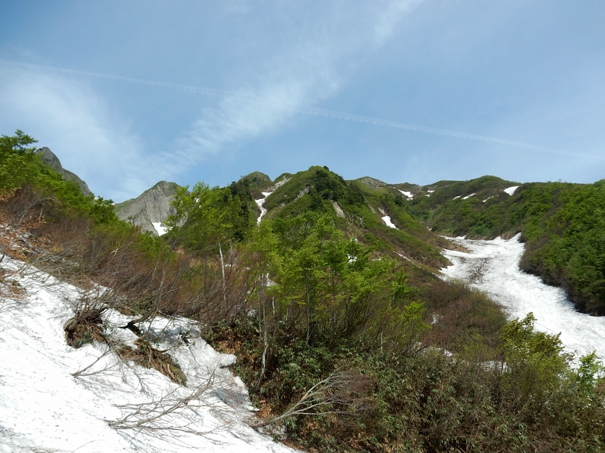 f:id:nakamuraosamu:20190610103351j:plain