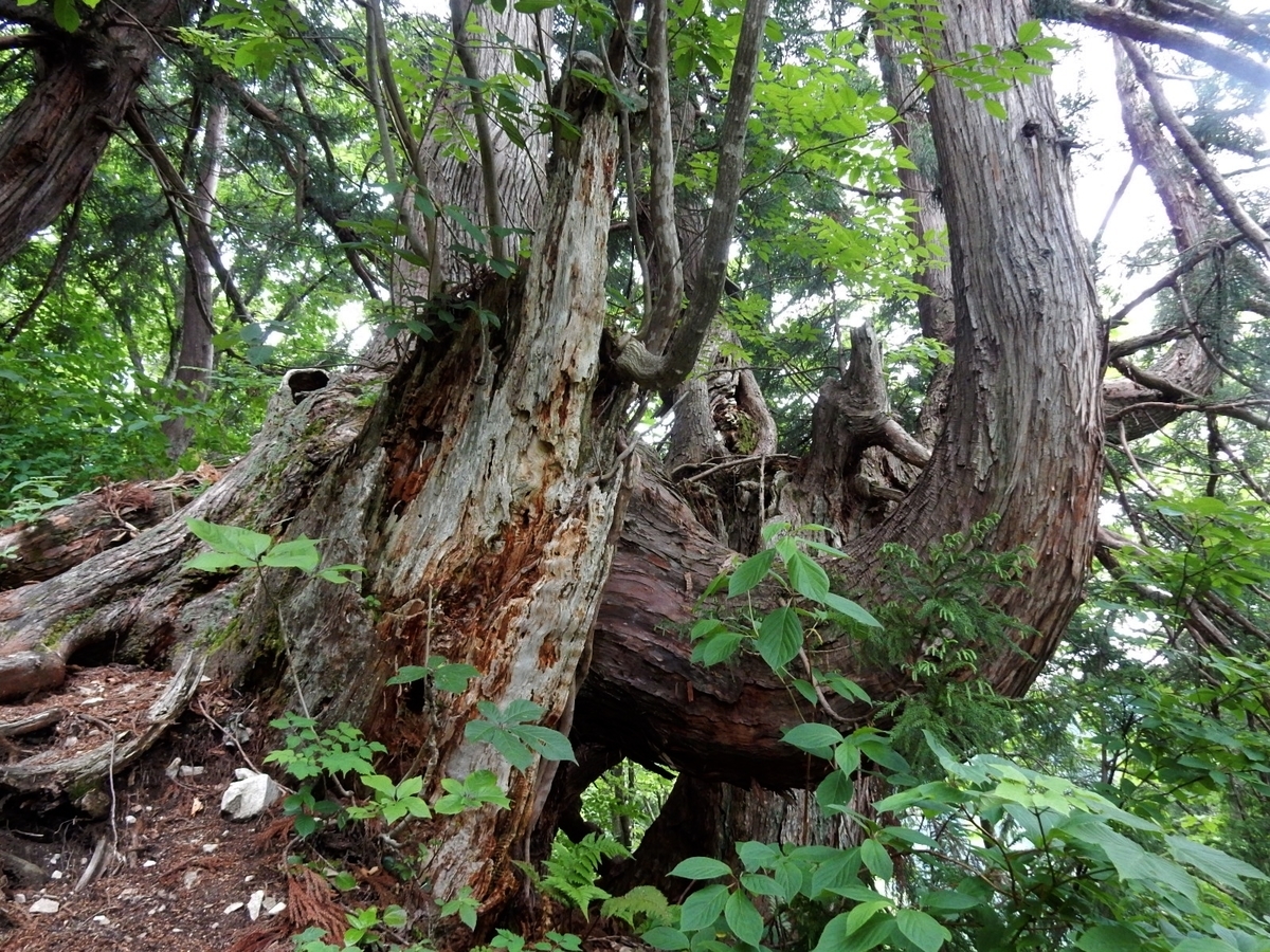 f:id:nakamuraosamu:20190616142130j:plain