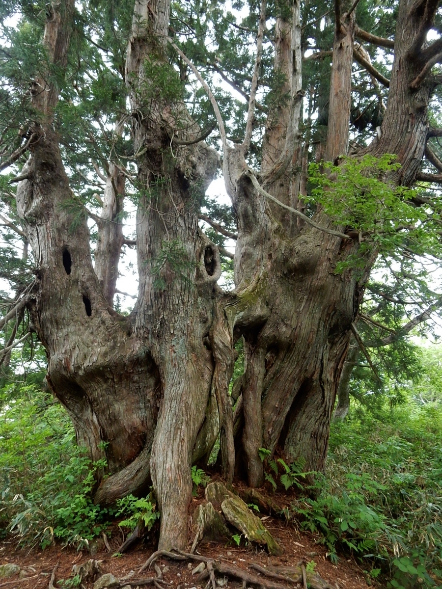 f:id:nakamuraosamu:20190616142623j:plain
