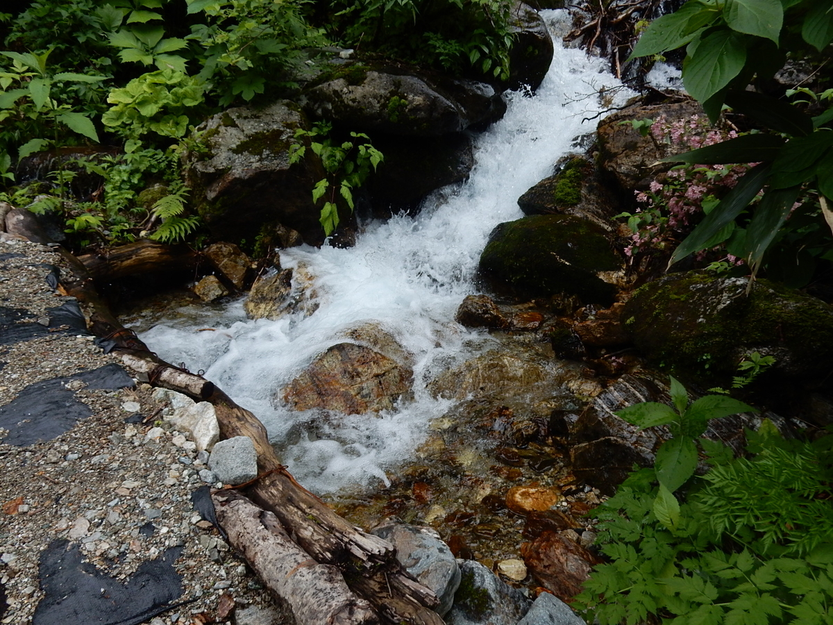 f:id:nakamuraosamu:20190616143542j:plain