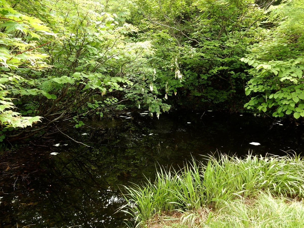 f:id:nakamuraosamu:20190714113203j:plain