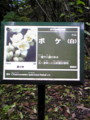 20080919122900