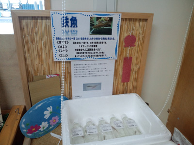 f:id:nakane2ti:20161029175130j:plain 鉄魚販売