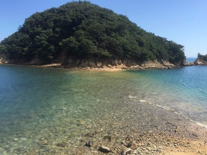 イメージ 3