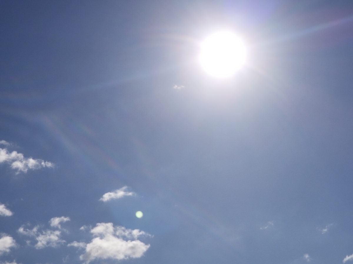 f:id:nakani-shooter:20191004095332j:plain