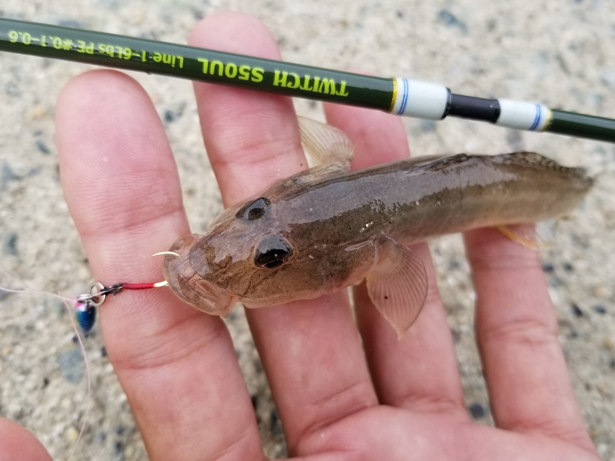 f:id:nakani-shooter:20191021095409j:plain