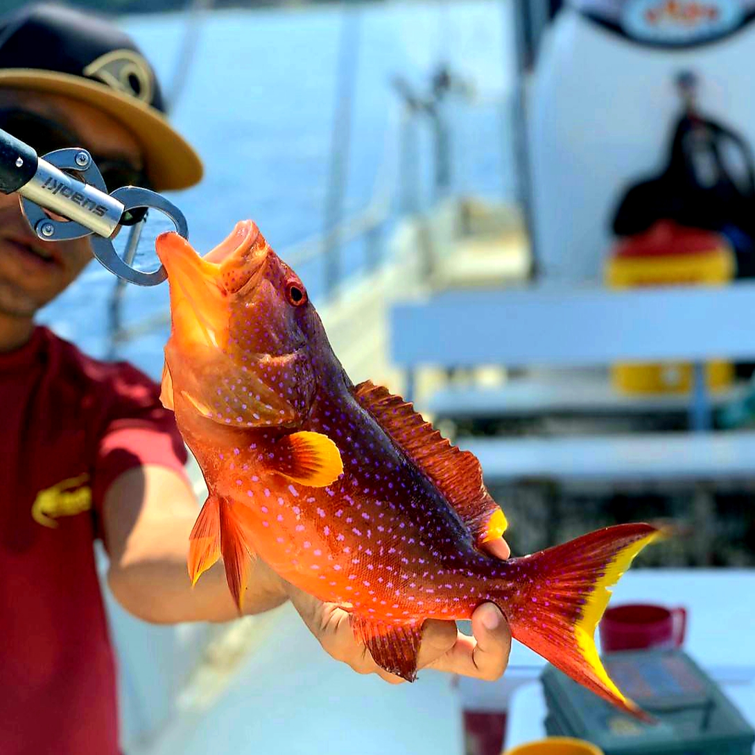 f:id:nakani-shooter:20191101195523j:plain f:id:nakani-shooter:20191101195523j:plain