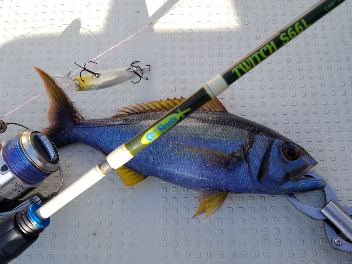 f:id:nakani-shooter:20191101224726j:plain f:id:nakani-shooter:20191101224726j:plain