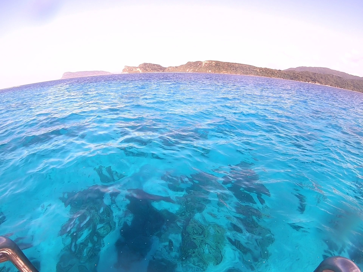 f:id:nakani-shooter:20191101225253j:plain f:id:nakani-shooter:20191101225253j:plain