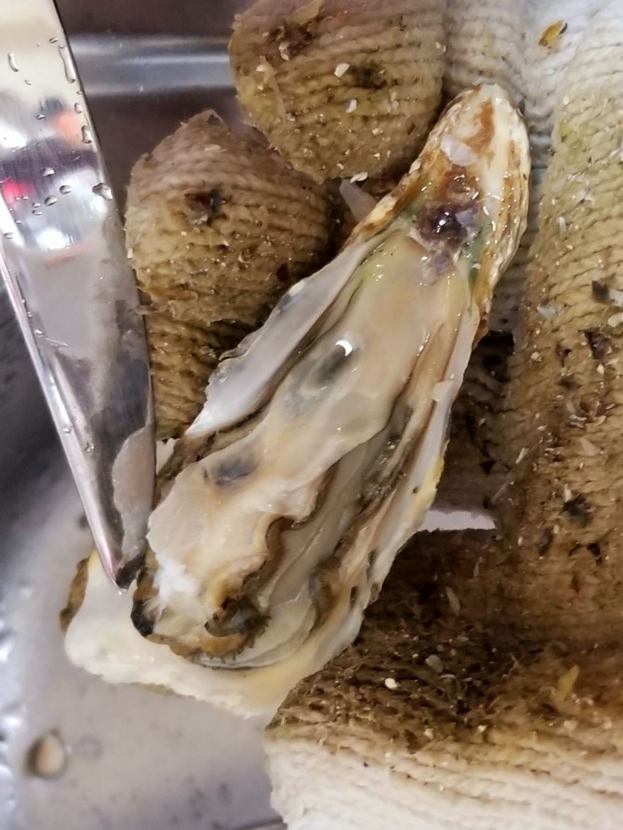 f:id:nakani-shooter:20191119154648j:plain